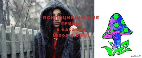 крисы Нея