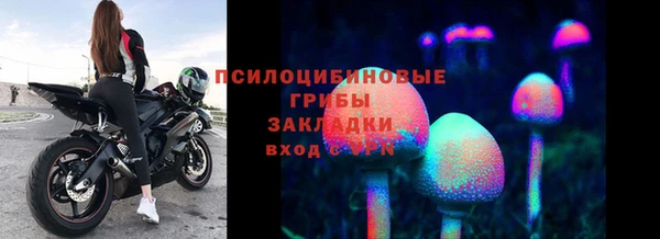 ГАЛЛЮЦИНОГЕННЫЕ ГРИБЫ Орехово-Зуево