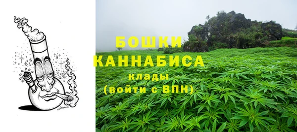 стафф Надым