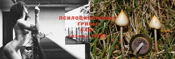 стафф Надым