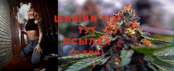 крисы Нея