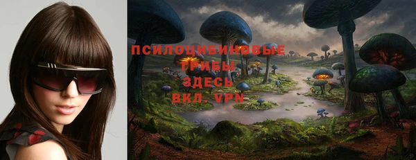 ПСИЛОЦИБИНОВЫЕ ГРИБЫ Навашино